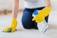 Fresh Carpet Cleaning Sydney image 2